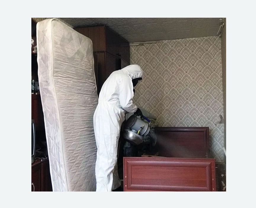 дезинфекция от клопов дезинфекция от клопов в Киселёвске