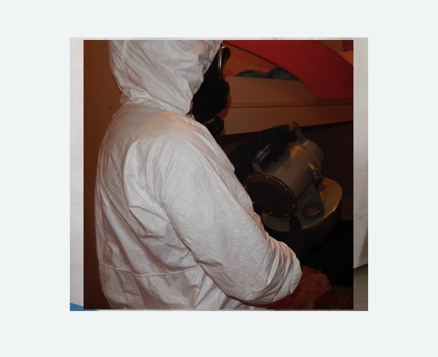 Дезинфекция от муравьев Дезинфекция от муравьев в Киселёвске